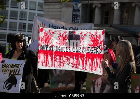 Birmingham, Vereinigtes Königreich. 7. Oktober 2012. Protest gegen die Badger Keulung. Zu Beginn der Parteitag der Konservativen in Birmingham. Stockfoto