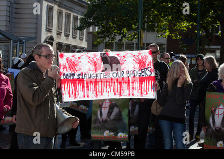 Birmingham, Vereinigtes Königreich. 7. Oktober 2012. Protest gegen die Badger Keulung. Zu Beginn der Parteitag der Konservativen in Birmingham. Stockfoto