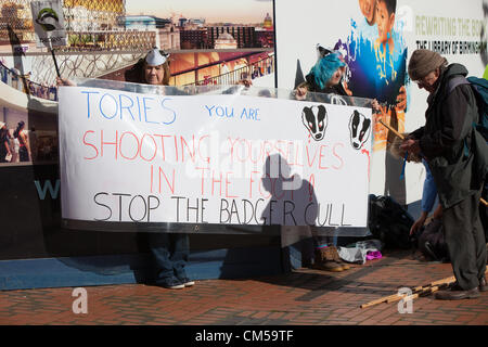 Birmingham, Vereinigtes Königreich. 7. Oktober 2012. Protest gegen die Badger Keulung. Zu Beginn der Parteitag der Konservativen in Birmingham. Stockfoto