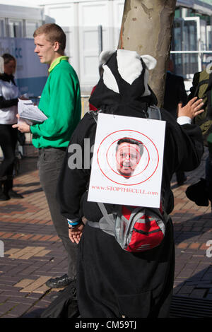 Birmingham, Vereinigtes Königreich. 7. Oktober 2012. Protest gegen die Badger Keulung. Zu Beginn der Parteitag der Konservativen in Birmingham. Stockfoto