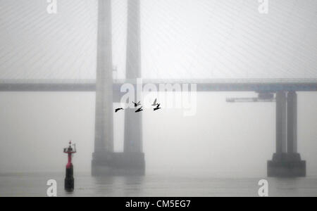 Severn Brücke, Wales, UK. 8. Oktober 2012. Eine Herde von Enten, die heute über den nebligen Fluss Severn mit der neuen Severn-Brücke in die Ferne fliegen. Stockfoto