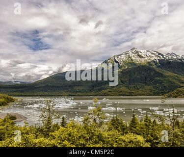 5. Juli 2012 gekalbt - Borough Of Juneau, Alaska, US - Eisberge aus Mendenhall Gletscher schwimmen auf der Oberfläche des Mendenhall Lake, umgeben von majestätischen Coast Mountain Range. Säumen Sie in Vordergrund Nadelbäumen des Tongass National Forest die Ufer. Mehr als 350.000 Menschen jährlich besuchen Sie das Gebiet um den zurückweichenden Gletscher zu sehen, die von seiner Quelle 12 Meilen von Juneau Lcefield zum Endpunkt am Mendenhall Lake fließt. (Kredit-Bild: © Arnold Drapkin/ZUMAPRESS.com) Stockfoto