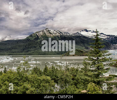 5. Juli 2012 - Borough Of Juneau, Alaska, US - Eisberge gekalbt aus Mendenhall-Gletscher, rechtsextreme, schwimmen auf der Oberfläche des Mendenhall Lake, umgeben von majestätischen Coast Mountain Range. Säumen Sie in Vordergrund Nadelbäumen des Tongass National Forest die Ufer. Mehr als 350.000 Menschen jährlich besuchen Sie das Gebiet um den zurückweichenden Gletscher zu sehen, die von seiner Quelle 12 Meilen von Juneau Lcefield zum Endpunkt am Mendenhall Lake fließt. (Kredit-Bild: © Arnold Drapkin/ZUMAPRESS.com) Stockfoto