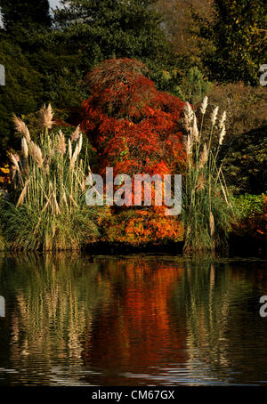 Wakehurst , Sussex, Großbritannien. - Herbstsonne bringt die Farben und Besucher des Wakehurst Place in Sussex zum Vorschein Stockfoto