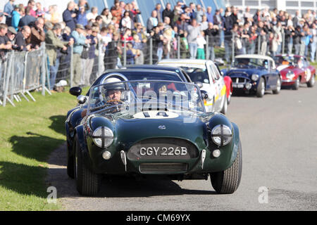 14. Oktober 2012 - eine Palette von Fahrzeugen, einschließlich der Formel1 wurden F5000, GTs und Tourenwagen und Gruppe B Rallye-Autos im Brooklands Museum heute als Teil der Herbst Motorsport Day 2012. Zuschauer hatten die seltene Gelegenheit zu sehen und zu hören, die Fahrzeuge aus nächster Nähe. Eine große Menschenmenge versammelt, um die Sammlung von modernen und klassischen Karten zu schätzen wissen.  Fotos zeigen Autos Gefahren auf Mercedes-Benz Welt. Stockfoto