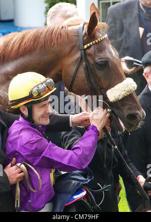 Ascot, Großbritannien. 20. Oktober 2012. Jockey Pat Smullen im Gewinner-Gehäuse in Ascot mit Rite de Passage nach dem Gewinn der Qipco britische Champions Long Distance Cup Stockfoto