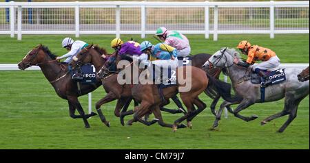 Ascot, Großbritannien. 20. Oktober 2012. Britische Champions Long Distance Cup, gewann durch Pat Smullen auf Rite de Passage (Purpur und Gold). Stockfoto