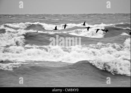 Starke Winde treffen am See/Marblehead Ohio als Hurrikan Sandy die Ostküste der U.S. - Wellen von Marblehead Licht gesehen trifft Stockfoto