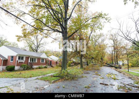 Starke Winde von einem Hurrikan Sandy verursacht Bäume, Stromleitungen über Kopf und Schneiden von Energie für Tausende von Menschen im Norden von New Jersey zu stürzen. Stockfoto