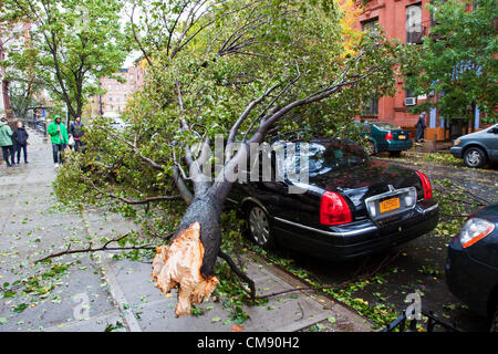 Ein umgestürzter Baum hat ein Auto zerquetscht. Die Nachmahd des Hurrikans Sandy ersichtlich auf den Straßen von New York City, USA. 30. Oktober 2012. Stockfoto