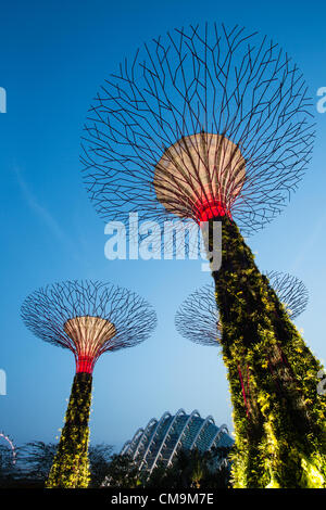 "Supertrees" Singapurs Gardens by the Bay. Am 29. Juni 2012 eröffnet. Auf neu gewonnenem Land in Singapurs Neuentwicklung Marina Bay gelegen. Entworfen vom britischen Architekten Wilkinson Eyre und Landschaftsarchitektur Firma Grant Associates. Die Gärten 101 Hektar einnimmt. Es gibt 18 Supertrees und mehr als 162.000 Pflanzen. (Kredit-Bild: © Stuart Jenner / www.stuartjennerphotography.com) Stockfoto