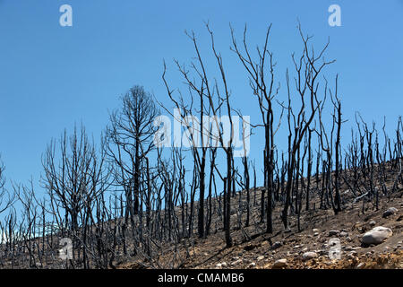 Wildfire und Wald Feuer zerstört 50.000 Hektar Berg- und Kabine Wohngebiete in zentrale Utah. Hohle Holz Feuer. Stockfoto