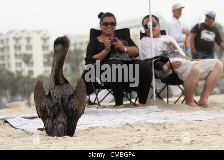 11. Juli 2012 - Los Angeles, Kalifornien (CA, USA - ein Pelikan ist am Strand von Santa Monica zu sehen. (Kredit-Bild: © Ringo Chiu/ZUMAPRESS.com) Stockfoto