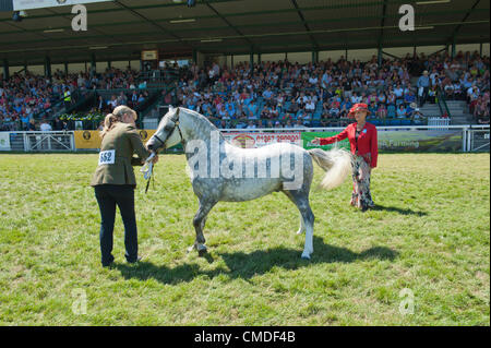 24. Juli 2012. Llanelwedd, Wales, UK.  Ein Richter in der Klasse Senior Hengst Welsh Mountain Pony. Besucher genießen das Wetter auf der Royal Welsh Show 2012. Bildnachweis: Graham M. Lawrence/Alamy Live-Nachrichten Stockfoto