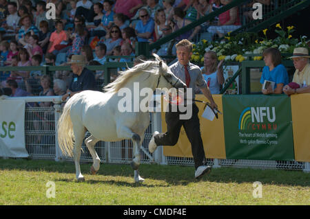 24. Juli 2012. Llanelwedd, Wales, UK. Sieger der Klasse Senior Hengst Welsh Mountain Pony verlässt den Ehrenring. Besucher genießen das Wetter auf der Royal Welsh Show 2012. Bildnachweis: Graham M. Lawrence/Alamy Live-Nachrichten Stockfoto