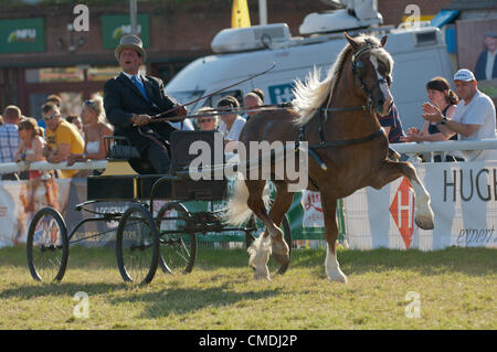 24. Juli 2012. Llanelwedd, Wales, UK. Kandidaten für die Kutsche fahren und Trab-Veranstaltungen genießen das Sommerwetter bei The Royal Welsh Show 2012. Bildnachweis: Graham M. Lawrence/Alamy Live-Nachrichten Stockfoto