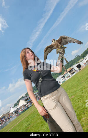Landwirtschaftlichen Royal Welsh Show, Llanelwedd, Wales, Vereinigtes Königreich. 26. Juli 2012. Layla Bennet 28 der Hawksdrift Falknerei, Builth Wells in Wales Großbritannien mit Mitch eine 2-jährige Lanner Falcon. Hawksdrift Falknerei demonstrieren ihre Fähigkeiten während der gesamten Woche zeigen. Trotz frühen Gerüchte, die The Royal Welsh Show ging aufgrund der extremen UN-saisonalen Niederschläge im Juni und Anfang Juli abgesagt werden, wurde der diesjährigen Messe ein großer Erfolg mit Berichten über Besucherrekorde aufgrund der Last-Minute-Ankunft von einer Hitzewelle im Sommer. Bildnachweis: Graham M. Lawrence/Alamy Live-Nachrichten. Stockfoto