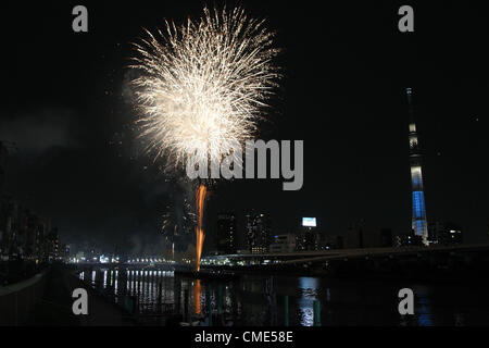 28. Juli 2012 zu beleuchten - Tokyo, Japan - Feuerwerk den Himmel mit Tokyo Sky Tree auf dem Sumida-Fluss während des Sumidagawa Feuerwerk-Festival am 28. Juli 2012 in Tokio, Japan. auf dem Festival wurden 20.000 Feuerwerk verwendet. (Kredit-Bild: © Koichi Kamoshida/Jana Press/ZUMAPRESS.com) Stockfoto