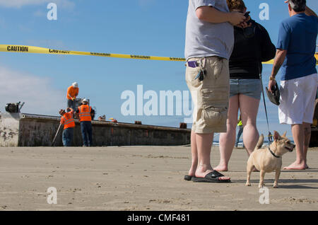 1. August 2012 - zusehen Newport, Oregon, USA - Touristen und ihr Hund, wie Arbeitnehmer beginnt den Prozess des Schneidens einer massiven gestrandet dock in Stücke auf Agate Beach in der Nähe von Newport.  Die riesigen japanischen Dock wurde vom letztjährigen Tsunami weggerissen und vor fast zwei Monaten an einer Oregon Strand gespült. Der japanischen Tsunami riss das Dock im März 2011 Lose aus ihrer Verankerung in der nördlichen japanischen Misawa. Eine 15-Monats-Odyssee über den Pazifik endete am 5. Juni bei einer Flut. (Bild Kredit: Robin Loznak/ZUMAPRESS.com ©) Stockfoto