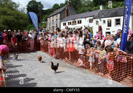 Jährliche Henne Racing Weltmeisterschaft statt am 4. August 2012 an der Gerste Mähen Inn Public House in Derbyshire Peak District Dorf von Bonsall.  Historisches Ereignis geht zurück mehr als 100 Jahren. Stockfoto