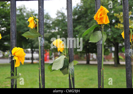 Mit der Fähre Lane, Tottenham, London, UK. 6. August 2012. Blumen mit Klebeband an das Geländer an der Stelle, wo Mark Duggan vor einem Jahr den Vorfall erschossen wurde, die zu den London-Unruhen führte. Stockfoto