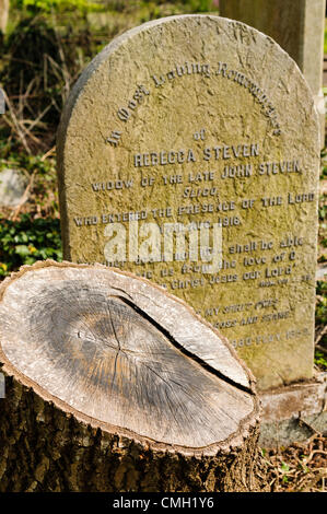 9. August 2012. Belfast, Nordirland, 08.09.2012 - eine "Erscheinung" sah aus wie das Gesicht von Jesus auf einem Baumstumpf in Belfast Stadtfriedhof erschienen ist.  Vor zwei Jahren war der Baum geschnitten.  Das Bild erschien vor ein paar Tagen.  Es ist eine große Anzahl von Besuchern anzieht, viele behaupten, es ist echt. Bildnachweis: Stephen Barnes / Alamy Live News Stockfoto