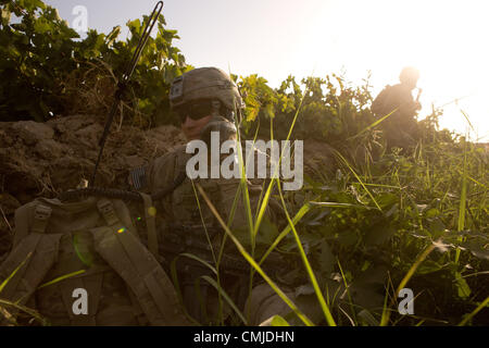 12. August 2012 - Zharay District, Provinz Kandahar, Afghanistan - SPC. Andrew Laughlin von 2nd Platoon, Alpha Company, 1-17 Infanterie nutzt einen Radio innerhalb einer Traube Feld während einer Operation Baumdecke verwendet durch feindliche Kämpfer in der Nähe von COP Ghundy Ghar im Bezirk Zharay, Provinz Kandahar auf Sonntag, 12. August 2012 zu entfernen. (Bild Kredit: ¬ © Andrew A. Nelles/ZUMA drücken) Stockfoto