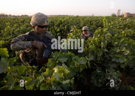 12. August 2012 - bewegt sich Zharay District, Provinz Kandahar, Afghanistan - SGT Guillermo Garcia von 2nd Platoon, Alpha Company, 1-17 Infanterie, durch eine Traube Feld während einer Operation Baumdecke verwendet durch feindliche Kämpfer in der Nähe von COP Ghundy Ghar im Bezirk Zharay, Provinz Kandahar auf Sonntag, 12. August 2012 zu entfernen. (Bild Kredit: ¬ © Andrew A. Nelles/ZUMA drücken) Stockfoto