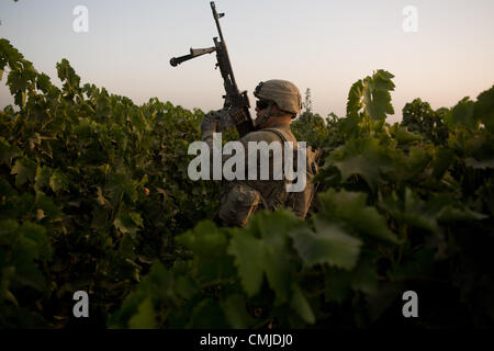 12. August 2012 - Zharay District, Provinz Kandahar, Afghanistan - SPC. Terrance Harmon der 2nd Platoon, Alpha Company, 1-17 Infanterie, bewegt sich durch eine Traube Feld während einer Operation Baumdecke verwendet durch feindliche Kämpfer in der Nähe von COP Ghundy Ghar im Bezirk Zharay, Provinz Kandahar auf Sonntag, 12. August 2012 zu entfernen. (Bild Kredit: ¬ © Andrew A. Nelles/ZUMA drücken) Stockfoto