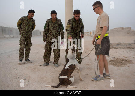 4. August 2012 - Zharay District, Provinz Kandahar, Afghanistan - Afghan National Army Soldaten stoppen TEDD Handler SPC zu begrüßen. ALEXANDER REIMER, 4th Brigade Combat Team, 82nd Airborne Division und seinem Hund Howard bei FOB Pasab. Der 82nd Airborne Division 4th Brigade Combat Team hat eine einzigartige Taktik gegen die zunehmende Bedrohung der improvisierten Sprengsatz in Afghanistan, taktische Sprengstoff-Spürhunde eingesetzt. Die TEDD Teams sind ins Feld geschickt, Fuß Patrouillen zu begleiten, wo sie effektiv bei der Aufdeckung von IED Gefahren sind. Im Gegensatz zu traditionellen militärischen Working Dog-Teams, w Stockfoto