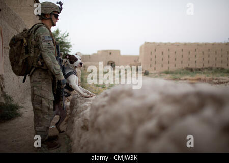 7. August 2012 - Zharay District, Provinz Kandahar, Afghanistan - TEDD Handler SPC. ALEXANDER REIMER, 4th Brigade Combat Team, 82nd Airborne Division und seinem Hund Howard beteiligen sich an einer Fuß-Patrouille. Der 82nd Airborne Division 4th Brigade Combat Team hat eine einzigartige Taktik gegen die zunehmende Bedrohung der improvisierten Sprengsatz in Afghanistan, taktische Sprengstoff-Spürhunde eingesetzt. Die TEDD Teams sind ins Feld geschickt, Fuß Patrouillen zu begleiten, wo sie effektiv bei der Aufdeckung von IED Gefahren sind. Im Gegensatz zu traditionellen militärischen Working Dog-Teams, die die Armee in th verwendet hat Stockfoto