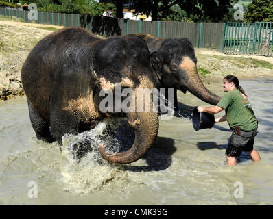 Weibliche asiatische Elefanten Kala und Delhi werden durch ihren Keeper Petr Kiebel in Usti Nad Labem Zoo, Tschechische Republik, am 20. August 2012 gekühlt. (CTK Foto/Libor Zavoral) Stockfoto