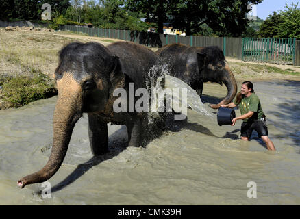 Weibliche asiatische Elefanten Kala und Delhi werden durch ihren Keeper Petr Kiebel in Usti Nad Labem Zoo, Tschechische Republik, am 20. August 2012 gekühlt. (CTK Foto/Libor Zavoral) Stockfoto