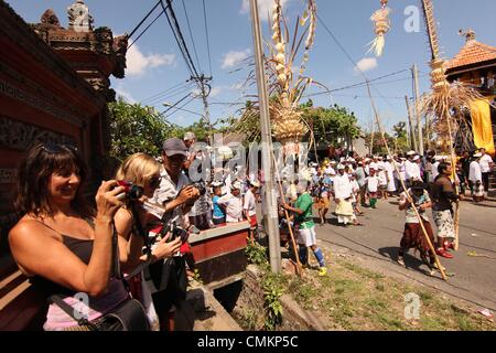 Bali, Indonesien. 2. November 2013. Turist Fotos von Bali Völker ging rund um das Dorf Mekotek Festival am Novembber 3, 2013 in Bali, Indonesia.Tradition Mekotekan feiern oder häufig genannt Mekotek ist üblich Tradition gehalten von Hindus, die am Tag fest im Dorf Munggu, Badung Regentschaft, Bali, Indonesien durchgeführt. Mekotekan Tradition ist eine Ritual, das Holz in der Regel verwendet bedeutet die am weitesten verbreitete Art der Pulet, die um den Sieg des Dharma (Tugend) feiern zusammen gespielt, gegen Adharma (böse) Credit: Sijori Images/ZUMAPRESS.com/Alamy Live News Stockfoto