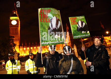 London, UK. 5. November 2013. Dachs Culliing Portestors vor den Houses of Parliament am 5. November Proteste in Parliament Square einschließlich OpVendetta von anonymen UK regierungsfeindlichen schneidet Demonstranten und Anti-Dachs Keulung Demonstrationen, London, England-Credit: Paul Brown/Alamy Live News Stockfoto