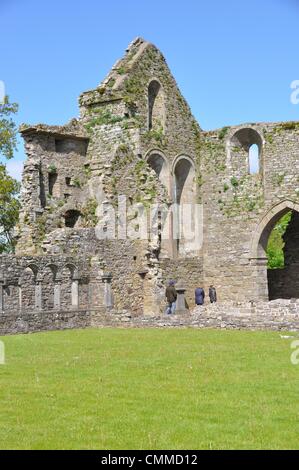 Die zerstörten Cisterican Jerpoint Abbey in der Nähe von Thomastown, Grafschaft Kilkenny, Irland wurde Ende des 12. Jahrhunderts erbaut. Es ist bemerkenswert gut erhalten. Von besonderem Interesse ist die geschnitzte Kloster Arcade mit einzigartigen Schnitzereien. Foto: Frank-Baumgart Stockfoto