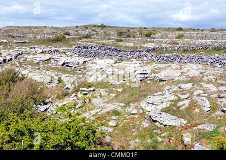 Der Burren, eine große steinige Karstlandschaft im County Clare, misst ca. 250 Quadratkilometer, von die 15 als Burren Nationalpark Foto 31. Mai 2013 benannt worden sind. Burren ist eines der weltweit einzigartige Orte in diesem arktischen, mediterranen und alpinen Pflanzen nebeneinander unterstützen können. Und es ist eine faszinierende archäologische Landschaft reich an historischen und archäologischen Stätten unter Ihnen Dolmen, megalithische Gräber und Ring Forts. Foto: Frank-Baumgart Stockfoto