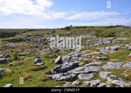 Der Burren, eine große steinige Karstlandschaft im County Clare, misst ca. 250 Quadratkilometer, von die 15 als Burren Nationalpark Foto 31. Mai 2013 benannt worden sind. Burren ist eines der weltweit einzigartige Orte in diesem arktischen, mediterranen und alpinen Pflanzen nebeneinander unterstützen können. Und es ist eine faszinierende archäologische Landschaft reich an historischen und archäologischen Stätten unter Ihnen Dolmen, megalithische Gräber und Ring Forts. Foto: Frank-Baumgart Stockfoto