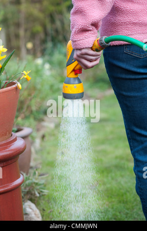 Gärtner mit Gartenschlauch, den Garten zu bewässern. Großbritannien Stockfoto