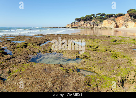 Strand mit Fels-pools Stockfoto