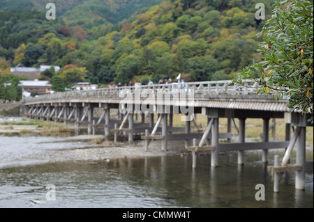 Strauch mit kleinen grünen Blättern vor der großen Brücke in Arashiyama, Kyoto, Japan Stockfoto