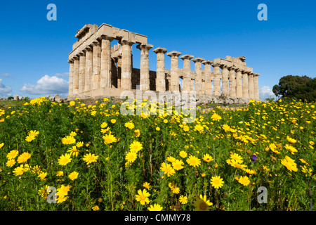 Selinus griechischen Tempel in Frühling, Selinunte, Sizilien, Italien, Europa Stockfoto