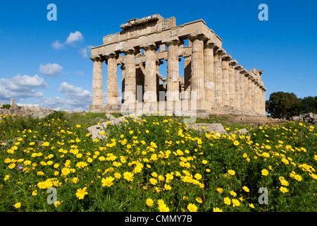 Selinus griechischen Tempel in Frühling, Selinunte, Sizilien, Italien, Europa Stockfoto