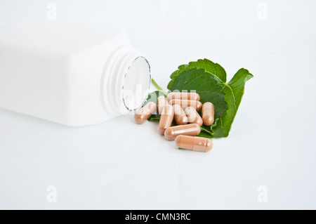 Alternative Medizin für gute Gesundheit und gutes Leben Stockfoto