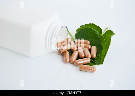 Alternative Medizin für gute Gesundheit und gutes Leben Stockfoto