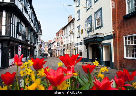 Metzger Zeile Shrewsbury Shropshire England UK Stockfoto