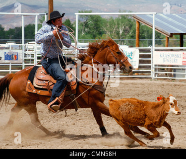 USA, Salmon, Idaho, Tie-Down Abseilen, Highschool-Rodeo Stockfoto