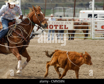 USA, Salmon, Idaho, Tie-Down Abseilen, Highschool-Rodeo Stockfoto