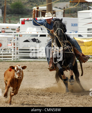 USA, Salmon, Idaho, Tie-Down Abseilen, Highschool-Rodeo Stockfoto