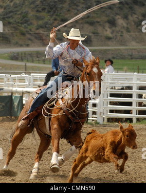 USA, Salmon, Idaho, Tie-Down Abseilen, Highschool-Rodeo Stockfoto